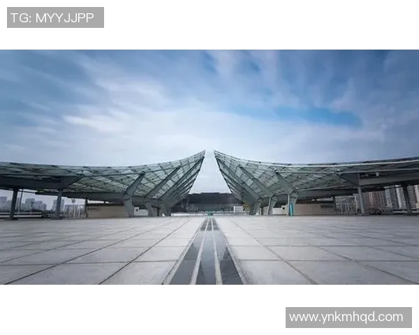 南京网球队的速度探讨与提升之路聚焦网球运动的未来发展