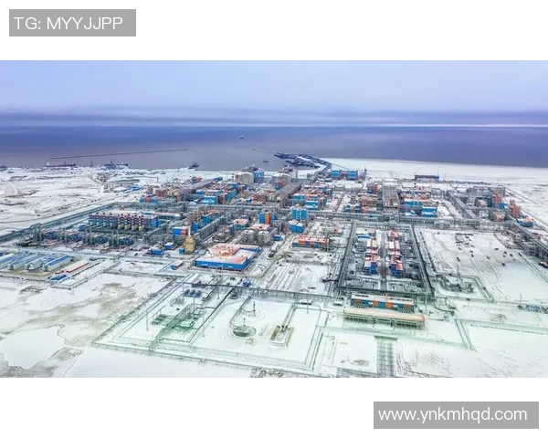 亚马尔地区能源开发与国际合作新机遇探讨